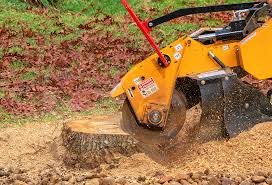Organic Lawn Care Solutions in Point Pleasant, WV